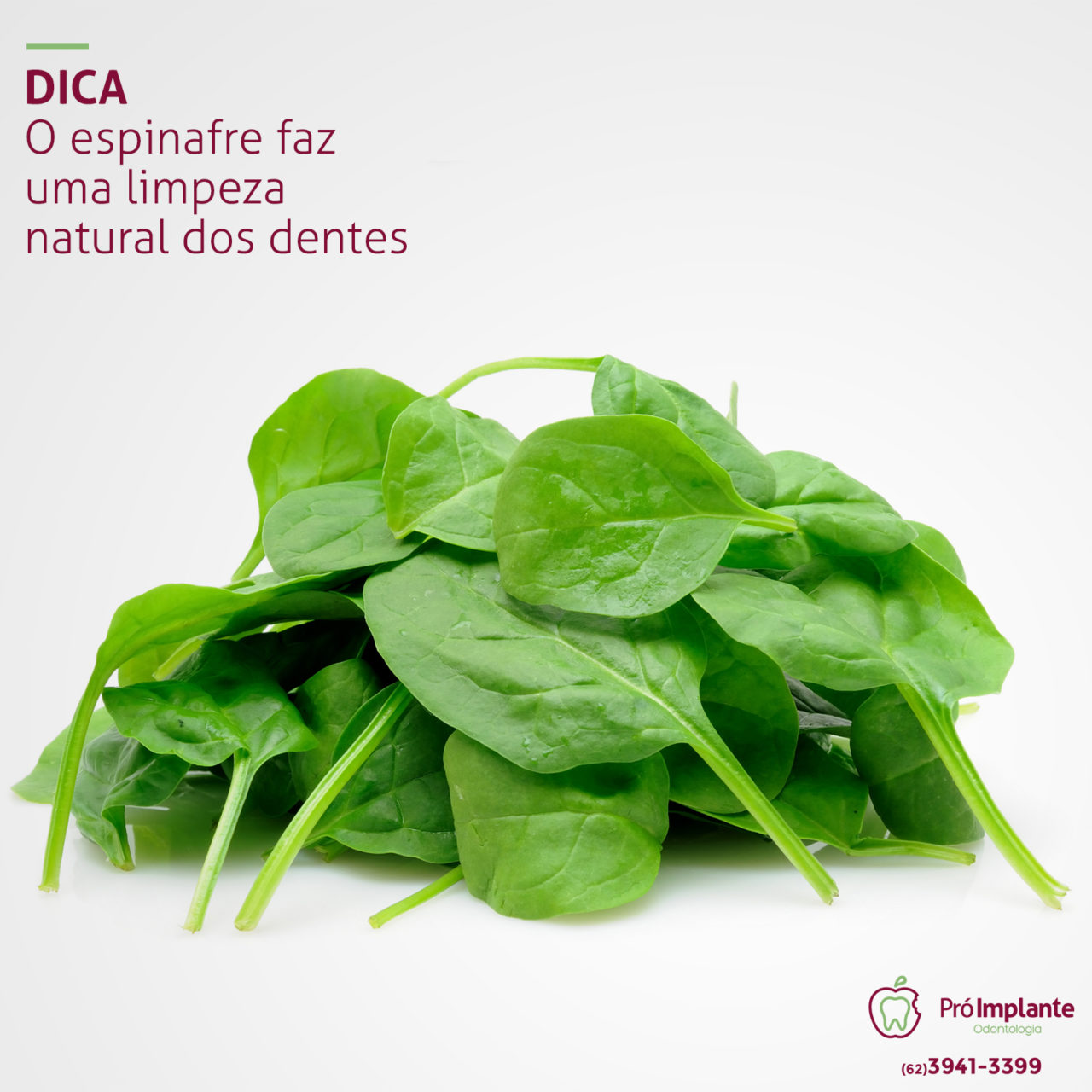 14-04 alimentos